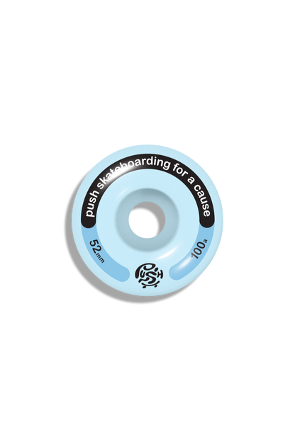 Push Bluey Incomplete - 8.25