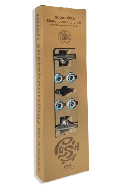 Push Bluey Incomplete - 8.25